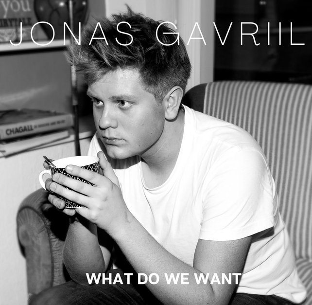 Das CD-Cover der Single What Do We Want von Singer-Songwriter Jonas Gavriil. © Foto by Heidi Musolesi